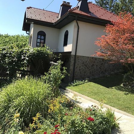 Wine & Nature & Tour Zgornji Leskovec Εξωτερικό φωτογραφία