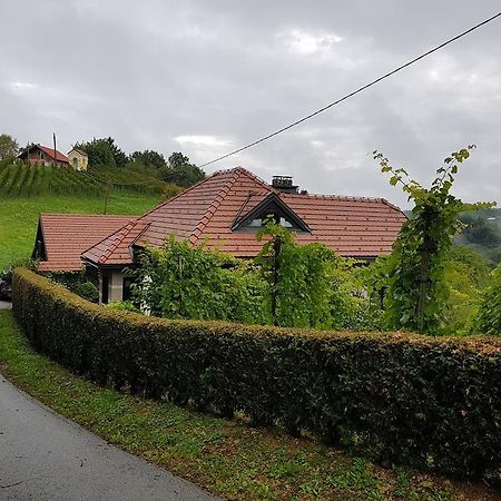 Wine & Nature & Tour Zgornji Leskovec Εξωτερικό φωτογραφία