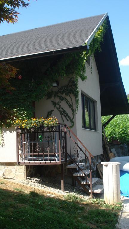 Wine & Nature & Tour Zgornji Leskovec Εξωτερικό φωτογραφία