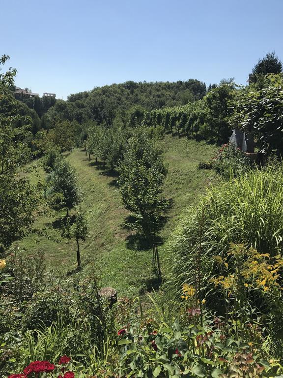Wine & Nature & Tour Zgornji Leskovec Εξωτερικό φωτογραφία