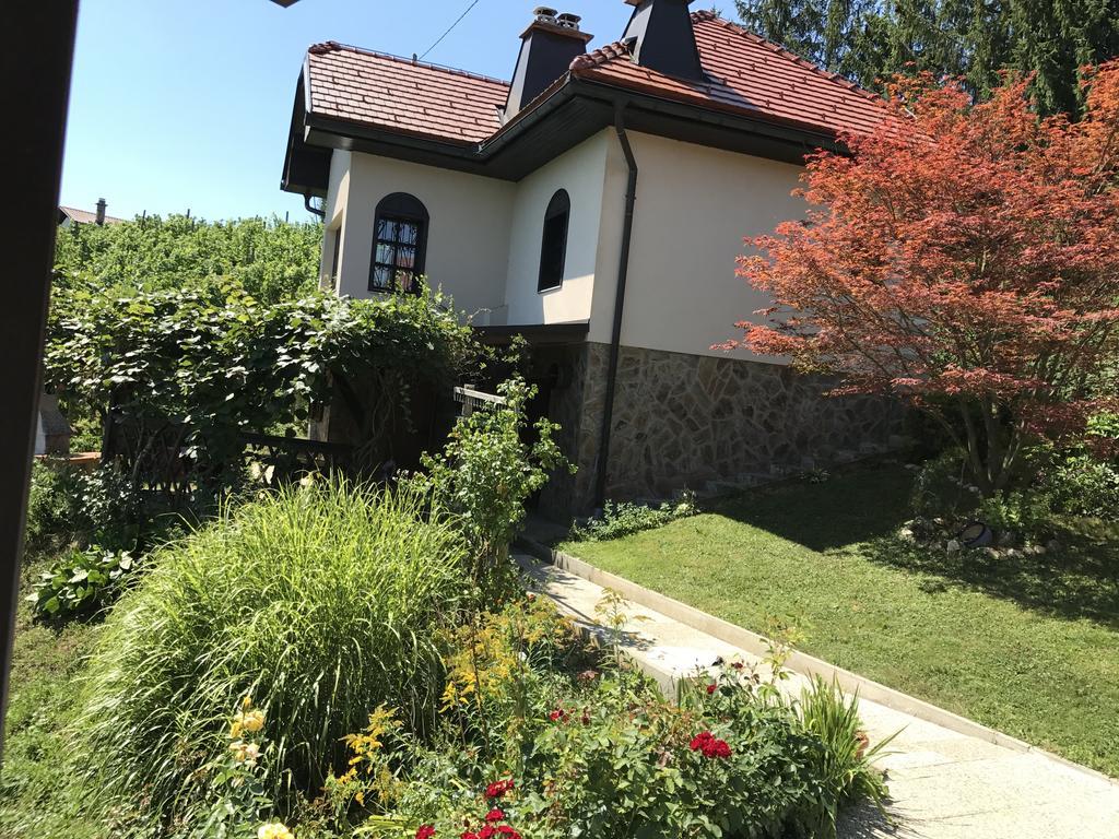 Wine & Nature & Tour Zgornji Leskovec Εξωτερικό φωτογραφία