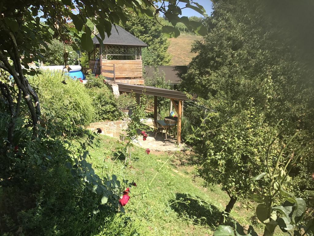 Wine & Nature & Tour Zgornji Leskovec Εξωτερικό φωτογραφία